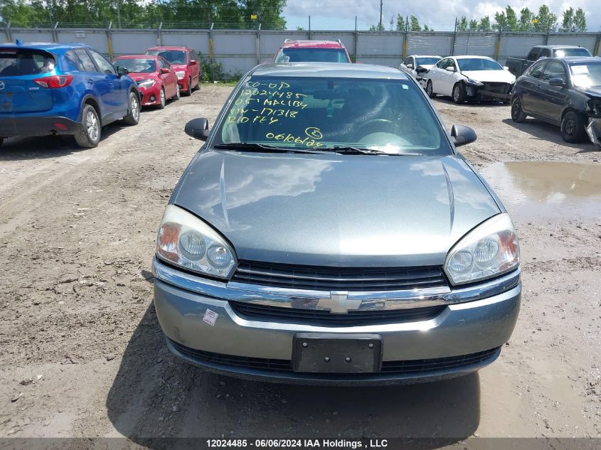 2005 Chevrolet Malibu VIN: 1G1ZT54855F171318 Lot: 12024485