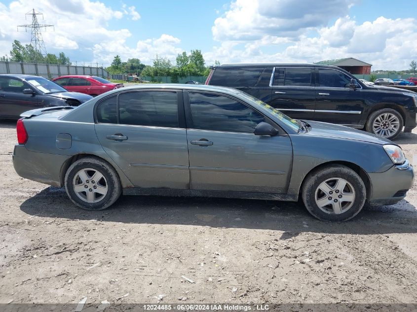 2005 Chevrolet Malibu VIN: 1G1ZT54855F171318 Lot: 12024485