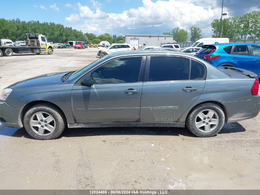 2005 Chevrolet Malibu VIN: 1G1ZT54855F171318 Lot: 12024485