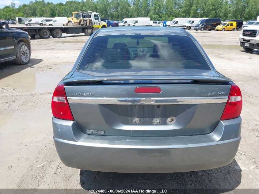 2005 Chevrolet Malibu VIN: 1G1ZT54855F171318 Lot: 12024485