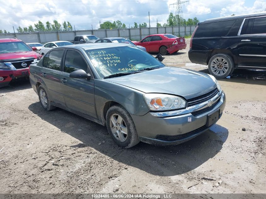 2005 Chevrolet Malibu VIN: 1G1ZT54855F171318 Lot: 12024485