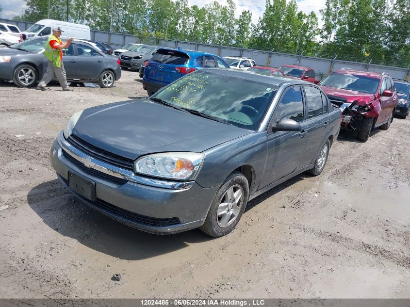 2005 Chevrolet Malibu VIN: 1G1ZT54855F171318 Lot: 12024485