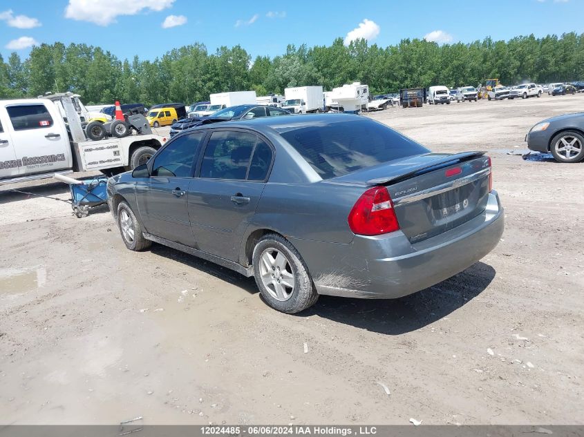 2005 Chevrolet Malibu VIN: 1G1ZT54855F171318 Lot: 12024485