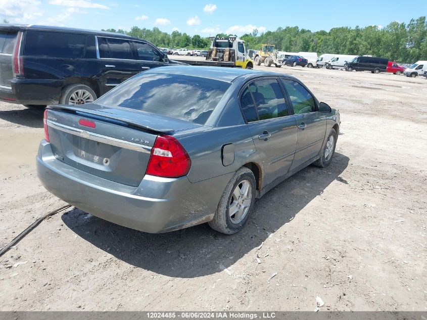 2005 Chevrolet Malibu VIN: 1G1ZT54855F171318 Lot: 12024485