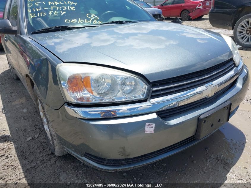 2005 Chevrolet Malibu VIN: 1G1ZT54855F171318 Lot: 12024485