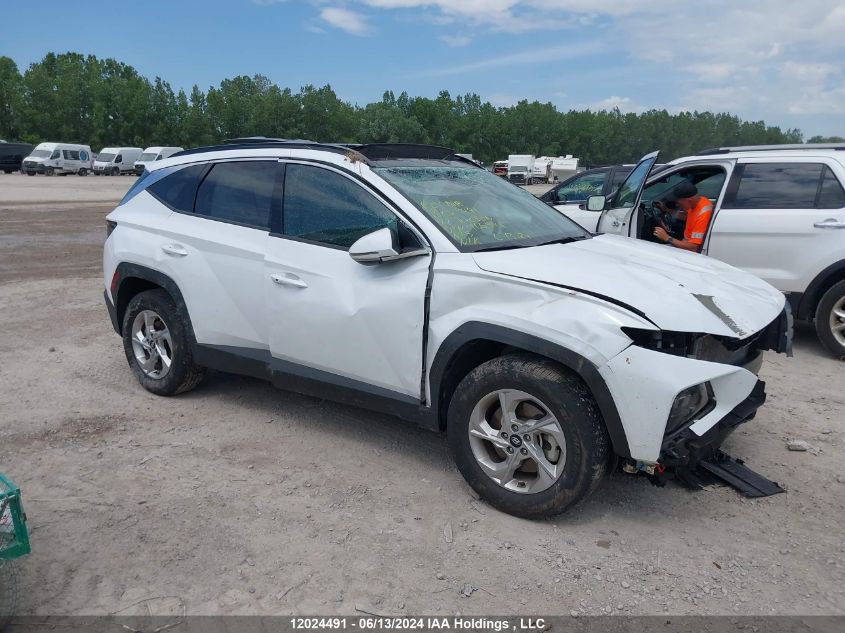 2022 Hyundai Tucson VIN: KM8JCCAE5NU166548 Lot: 12024491