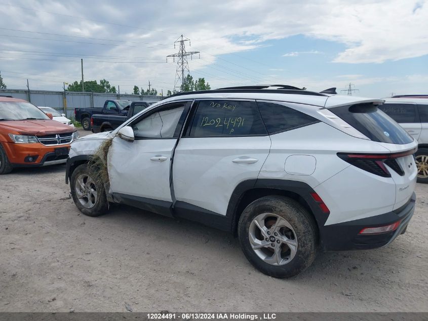 2022 Hyundai Tucson VIN: KM8JCCAE5NU166548 Lot: 12024491