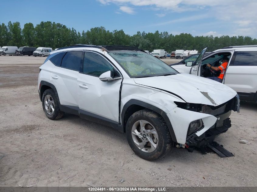 2022 Hyundai Tucson VIN: KM8JCCAE5NU166548 Lot: 12024491