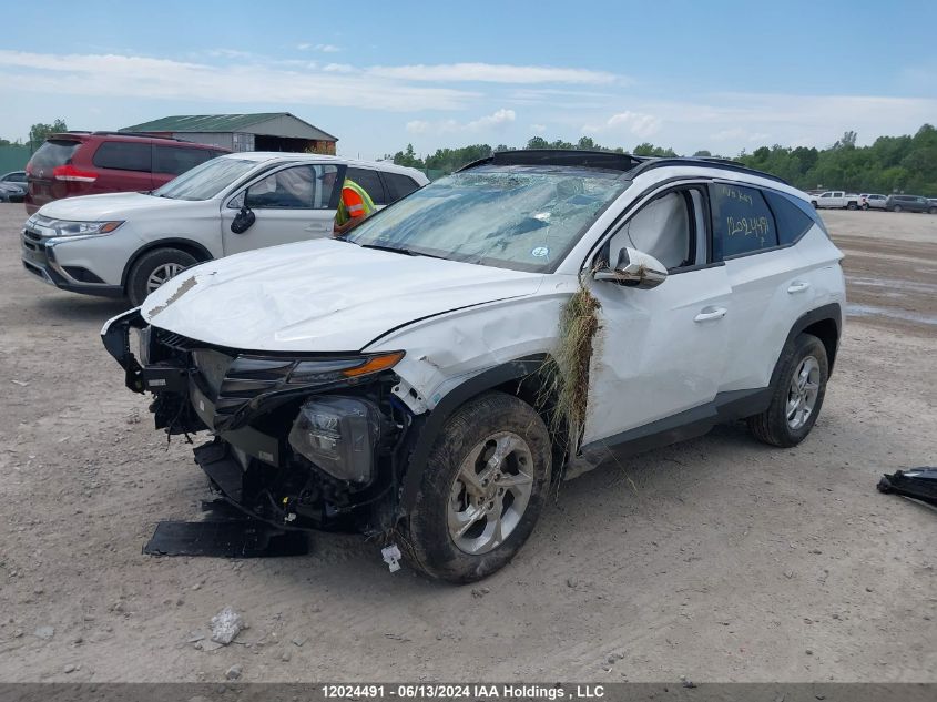 2022 Hyundai Tucson VIN: KM8JCCAE5NU166548 Lot: 12024491