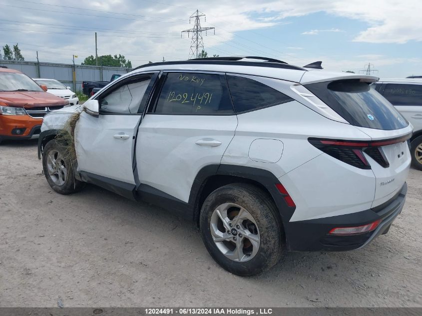 2022 Hyundai Tucson VIN: KM8JCCAE5NU166548 Lot: 12024491