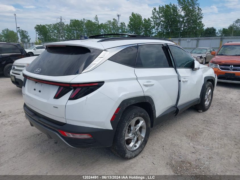 2022 Hyundai Tucson VIN: KM8JCCAE5NU166548 Lot: 12024491