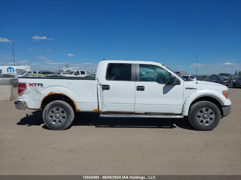 2010 Ford F-150 VIN: 1FTFW1EV1AFB99495 Lot: 12024492