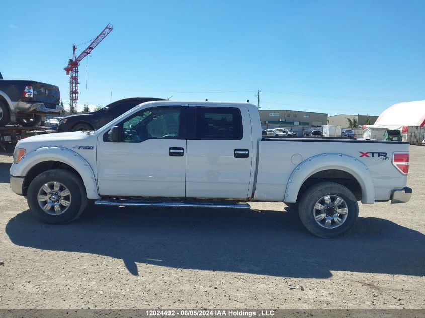 2010 Ford F-150 VIN: 1FTFW1EV1AFB99495 Lot: 12024492