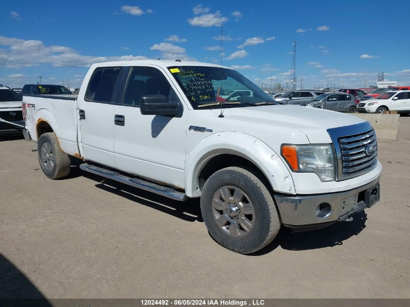 2010 Ford F-150 VIN: 1FTFW1EV1AFB99495 Lot: 12024492