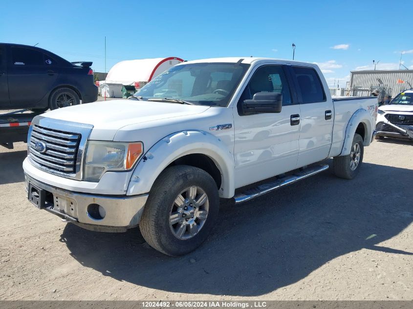 2010 Ford F-150 VIN: 1FTFW1EV1AFB99495 Lot: 12024492