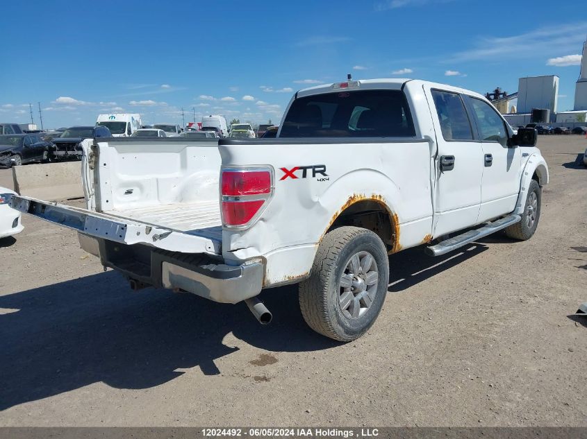 2010 Ford F-150 VIN: 1FTFW1EV1AFB99495 Lot: 12024492