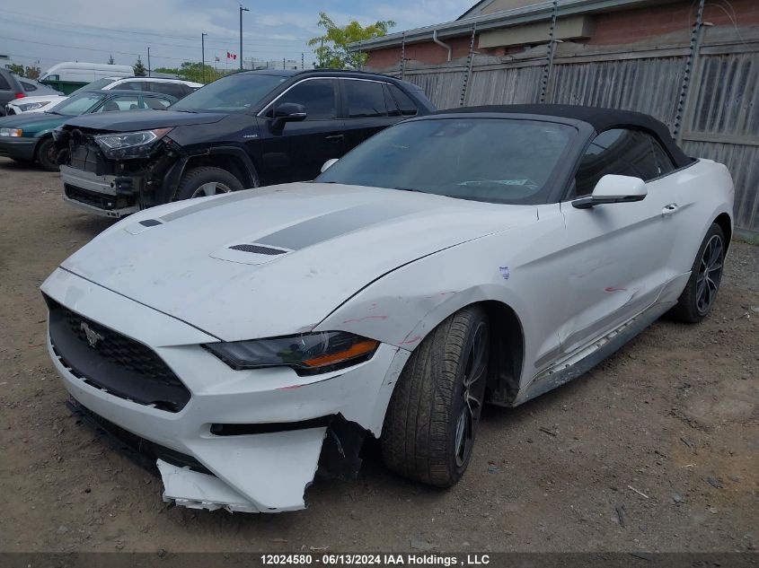 2022 Ford Mustang Ecoboost Premium VIN: 1FATP8UH3N5125324 Lot: 12024580