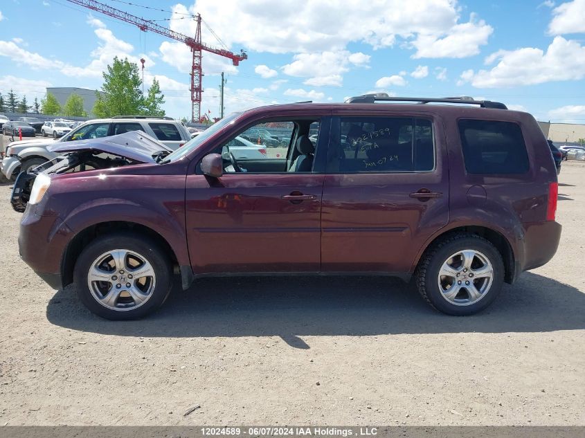 2014 Honda Pilot VIN: 5FNYF4H60EB505160 Lot: 12024589