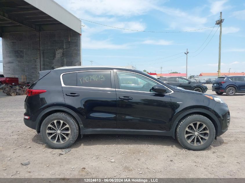 2019 Kia Sportage VIN: KNDPMCAC8K7505498 Lot: 12024613