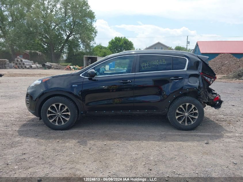 2019 Kia Sportage VIN: KNDPMCAC8K7505498 Lot: 12024613