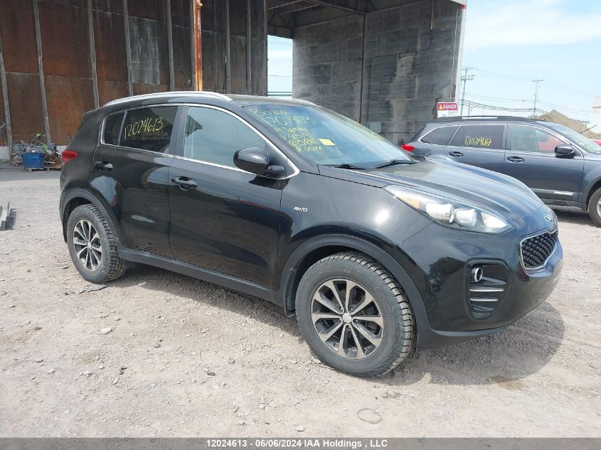 2019 Kia Sportage VIN: KNDPMCAC8K7505498 Lot: 12024613