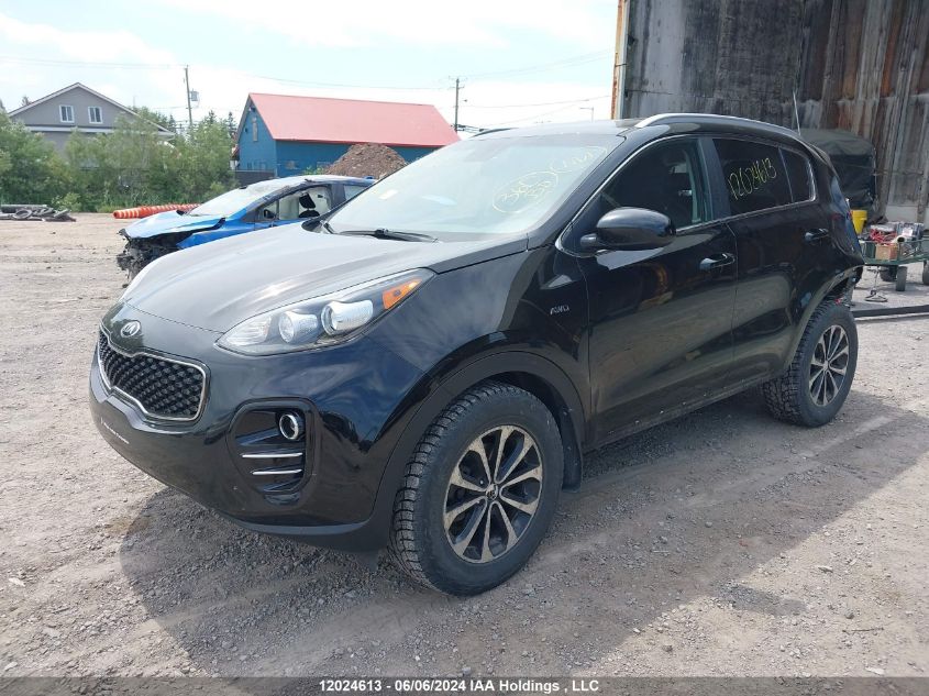 2019 Kia Sportage VIN: KNDPMCAC8K7505498 Lot: 12024613