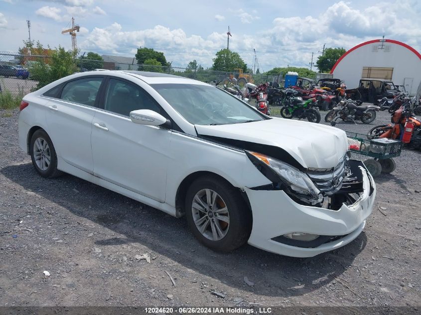 2014 Hyundai Sonata VIN: 5NPEB4AC2EH828822 Lot: 12024620