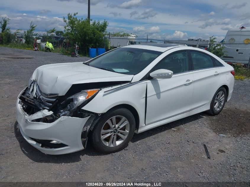 2014 Hyundai Sonata VIN: 5NPEB4AC2EH828822 Lot: 12024620