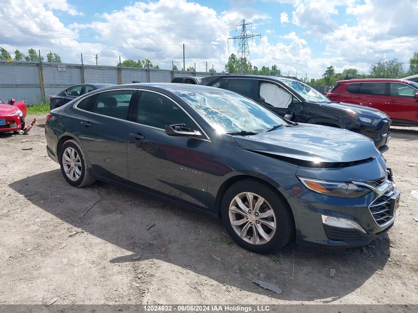 2019 Chevrolet Malibu VIN: 1G1ZD5ST6KF131927 Lot: 12024632