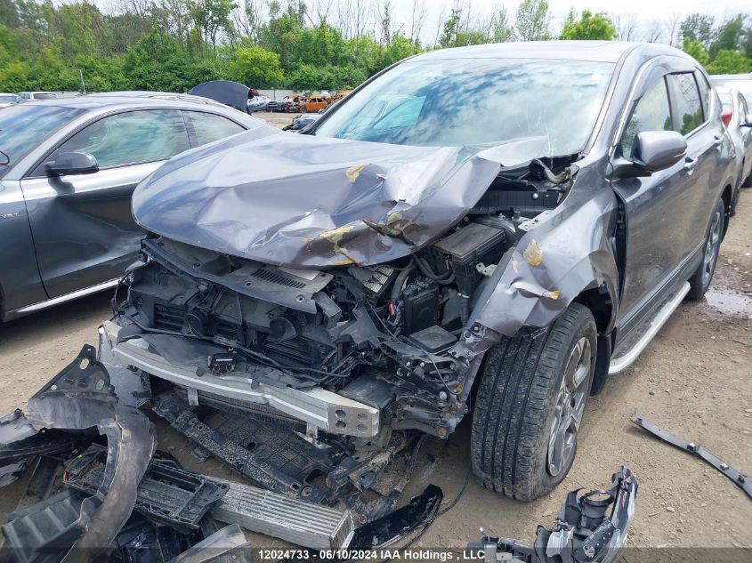 2019 Honda Cr-V VIN: 2HKRW2H84KH104380 Lot: 12024733