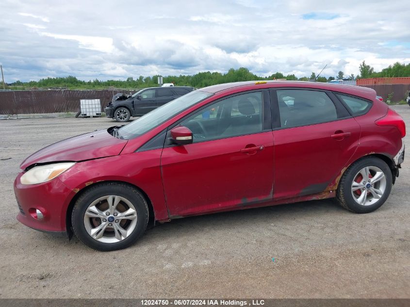 2013 Ford Focus VIN: 1FADP3K24DL329176 Lot: 12024750