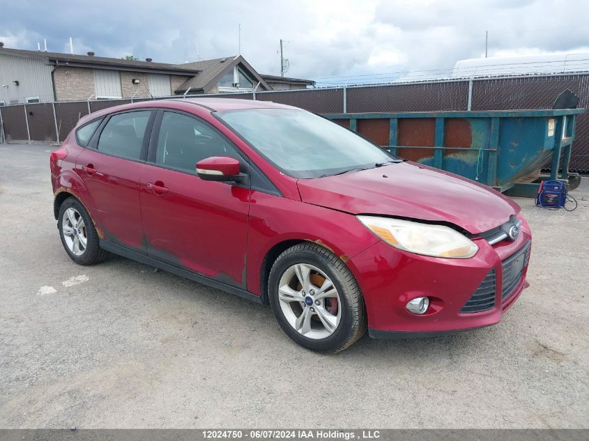 2013 Ford Focus VIN: 1FADP3K24DL329176 Lot: 12024750