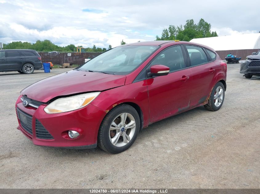 2013 Ford Focus VIN: 1FADP3K24DL329176 Lot: 12024750