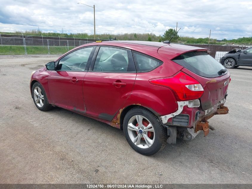 2013 Ford Focus VIN: 1FADP3K24DL329176 Lot: 12024750