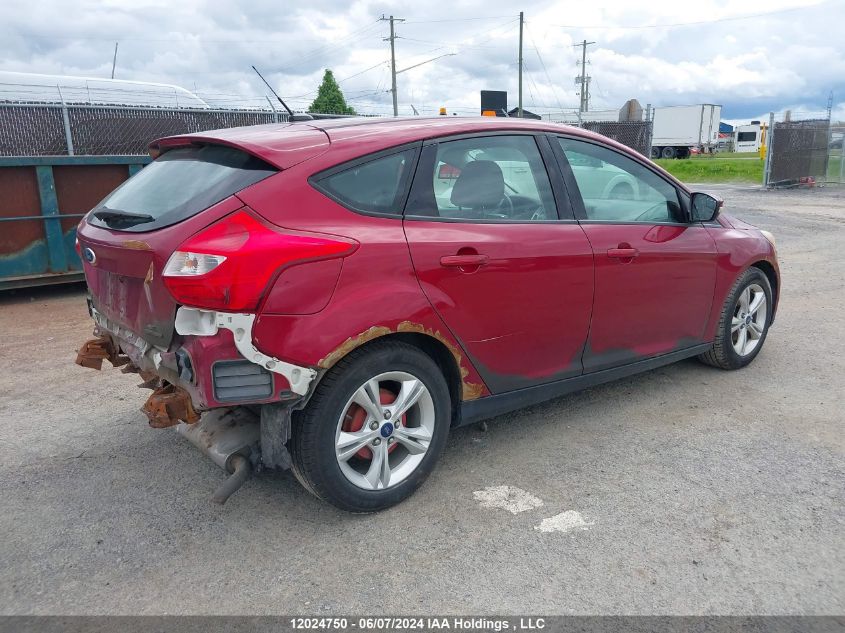 2013 Ford Focus VIN: 1FADP3K24DL329176 Lot: 12024750