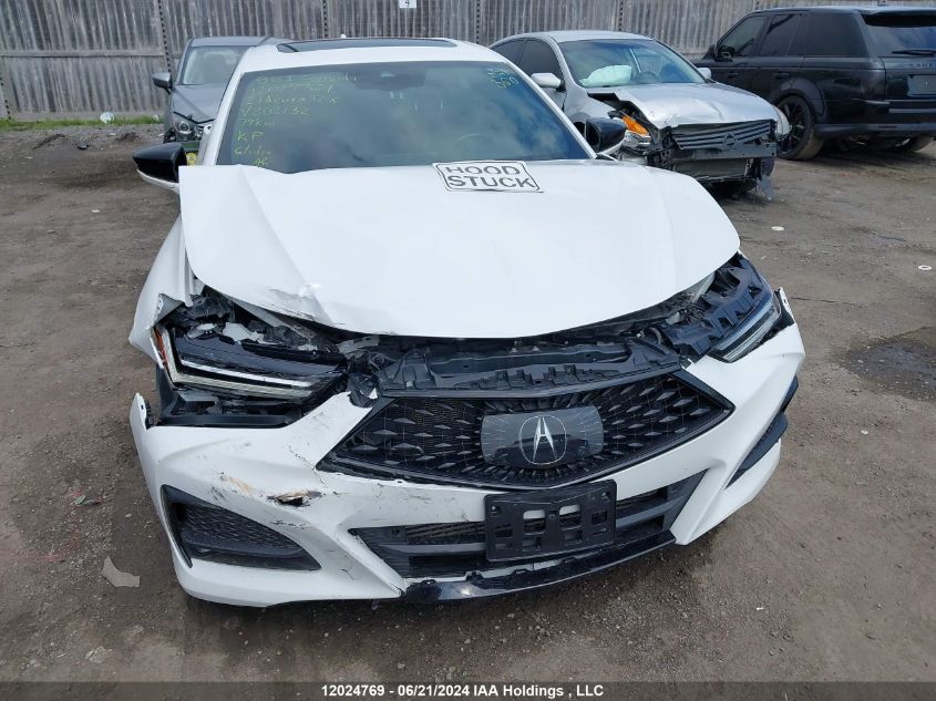 2021 Acura Tlx VIN: 19UUB6F50MA802132 Lot: 12024769