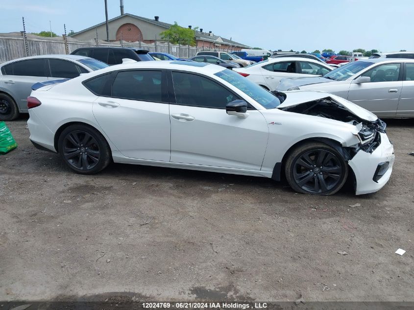 2021 Acura Tlx VIN: 19UUB6F50MA802132 Lot: 12024769