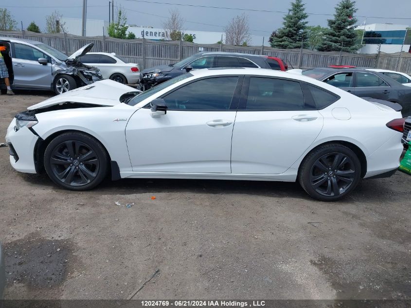 2021 Acura Tlx VIN: 19UUB6F50MA802132 Lot: 12024769