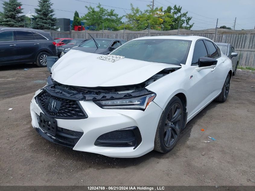 2021 Acura Tlx VIN: 19UUB6F50MA802132 Lot: 12024769