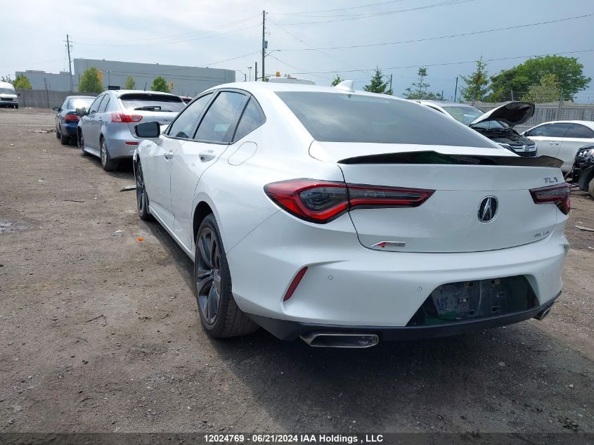 2021 Acura Tlx VIN: 19UUB6F50MA802132 Lot: 12024769