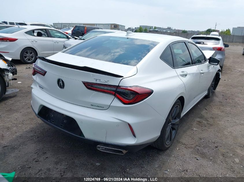 2021 Acura Tlx VIN: 19UUB6F50MA802132 Lot: 12024769