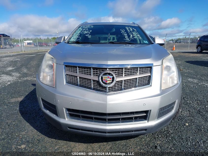 2010 Cadillac Srx Luxury Collection VIN: 3GYFNDEY1AS517569 Lot: 12024863