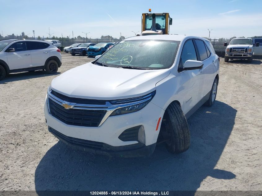 2022 Chevrolet Equinox VIN: 3GNAXUEV4NL275111 Lot: 12024885