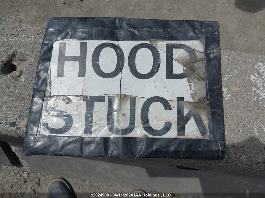 2013 Mazda Mazda3 VIN: JM1BL1V74D1800988 Lot: 12024908