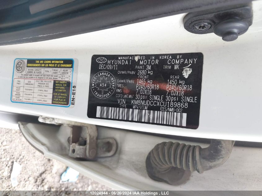 2012 Hyundai Veracruz VIN: KM8NUDCCXCU189868 Lot: 12024944