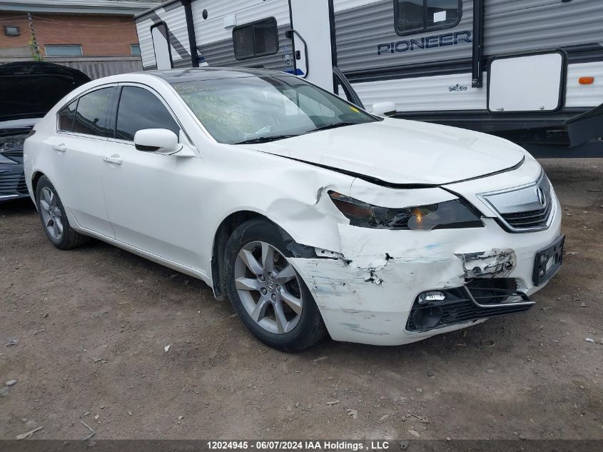 2012 Acura Tl VIN: 19UUA8F59CA801610 Lot: 12024945