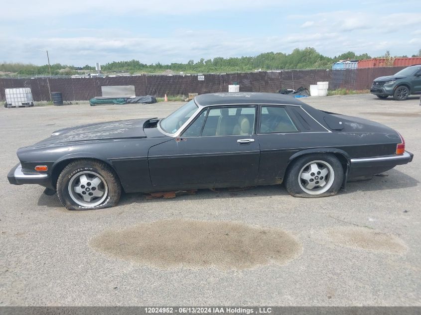 1987 Jaguar Xjs VIN: SAJNL5042HC143184 Lot: 12024952