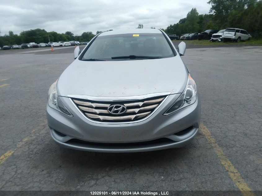 2013 Hyundai Sonata VIN: 5NPEB4AC8DH601567 Lot: 12025101