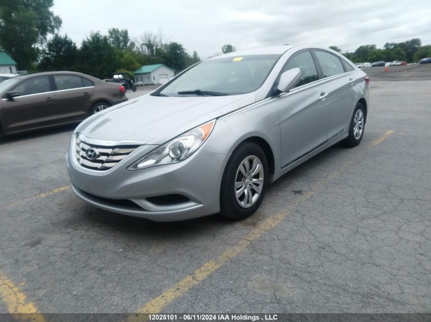 2013 Hyundai Sonata VIN: 5NPEB4AC8DH601567 Lot: 12025101