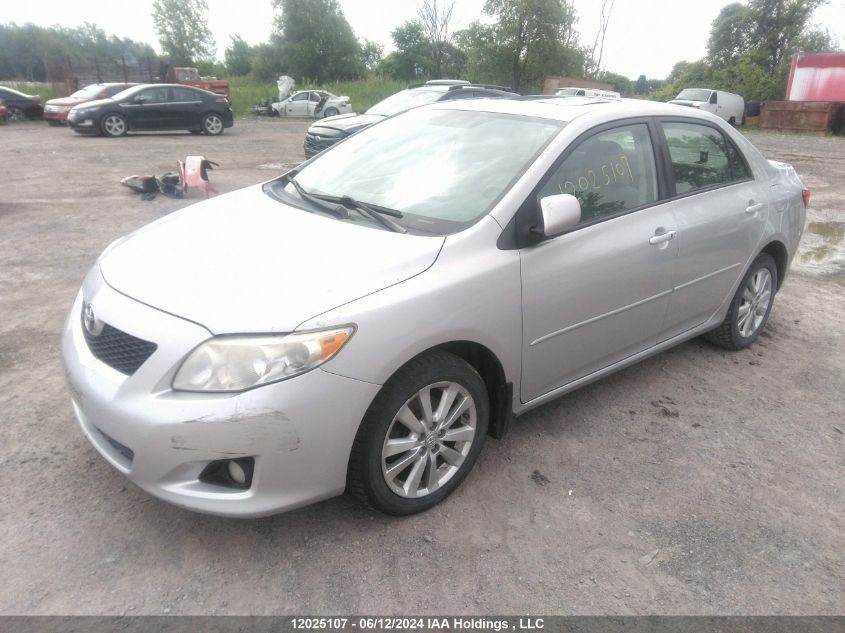 2010 Toyota Corolla VIN: 2T1BU4EE0AC393160 Lot: 12025107